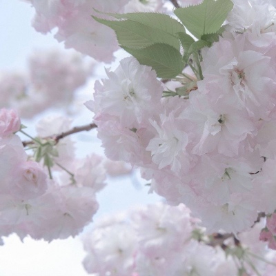 Furry绘画创意灵感FurryQQ群